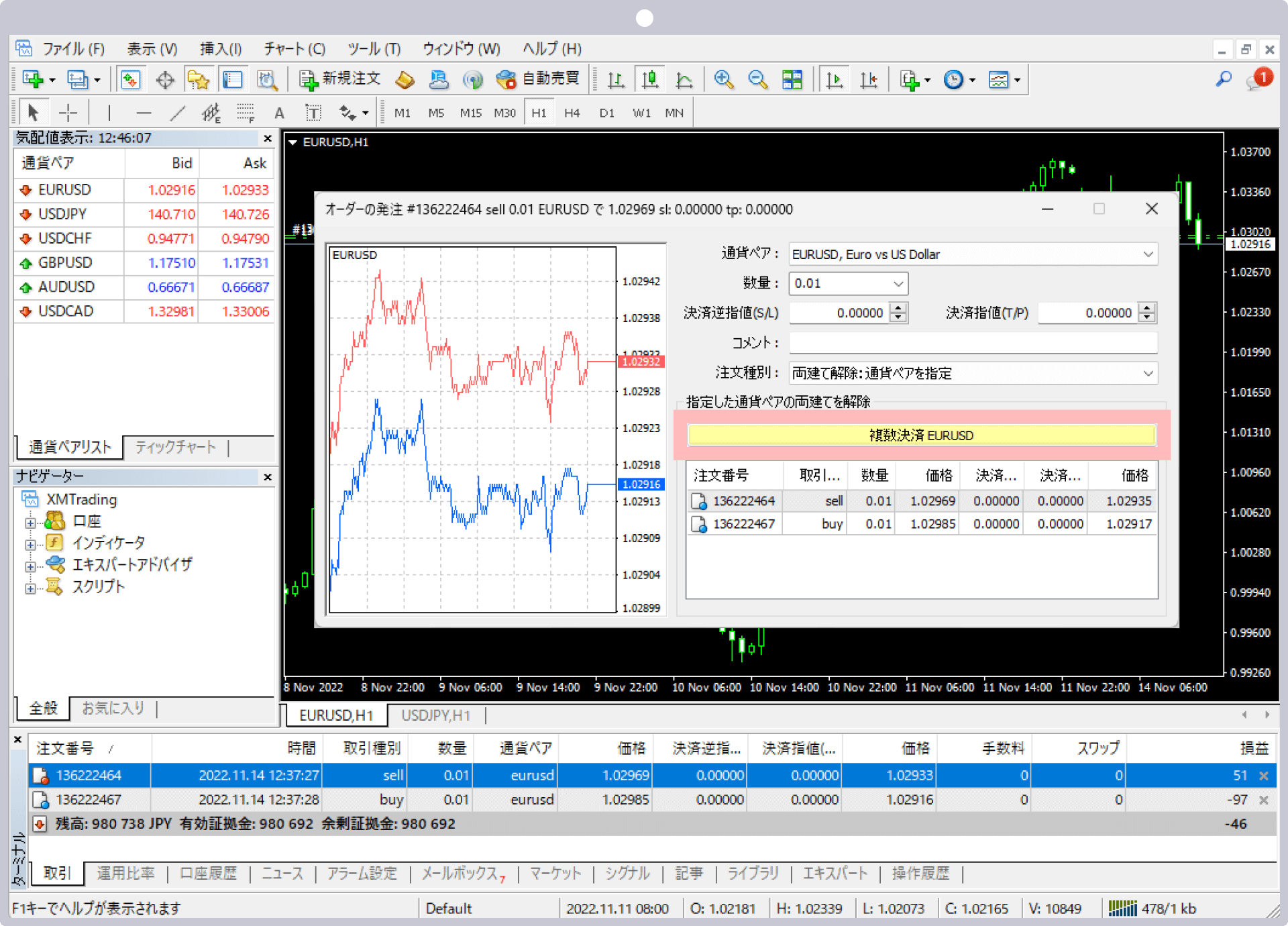 両建て解除：通貨ペアを指定