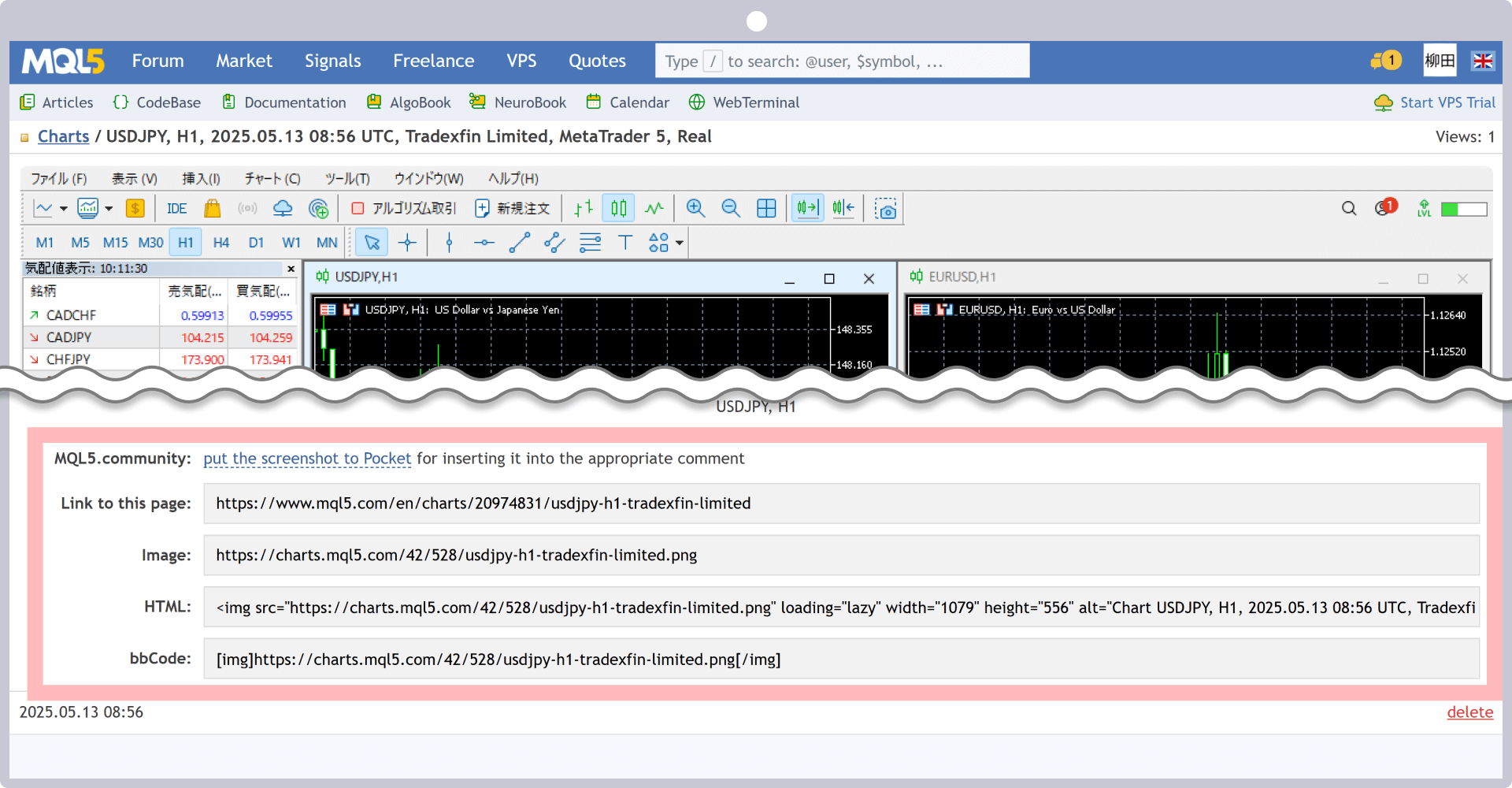 MMQL5のWebサイトが表示され、保存した画像のリンクが確認できる